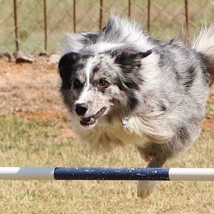 Meet your Posher, Aleta